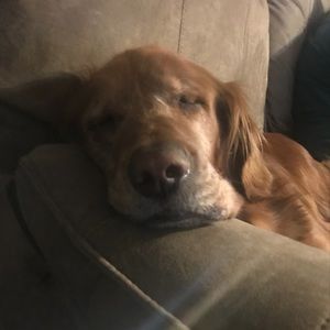 Meet your Posher, Peggy